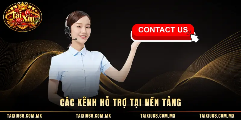 Các kênh hỗ trợ tại nền tảng 