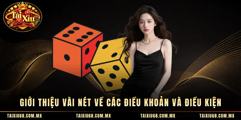 Giới thiệu vài nét về các Điều Khoản và Điều Kiện