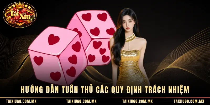Hướng dẫn tuân thủ các quy định trách nhiệm