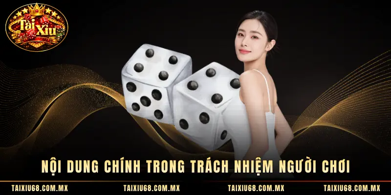 Nội dung chính trong trách nhiệm người chơi
